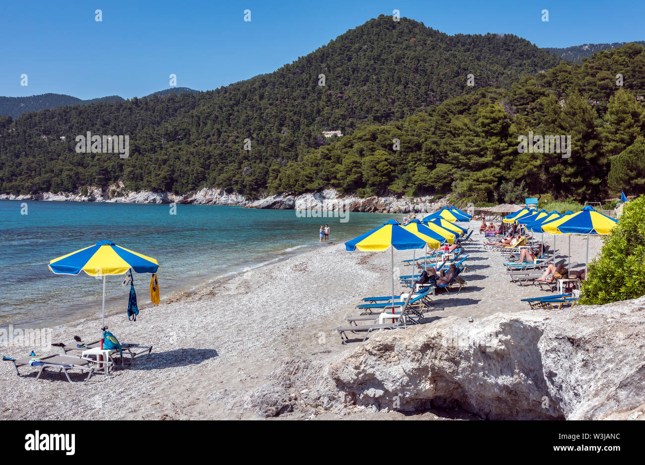 Plage de Millia, Skopelos, Sporades du Nord de la Grèce. Banque D'Images