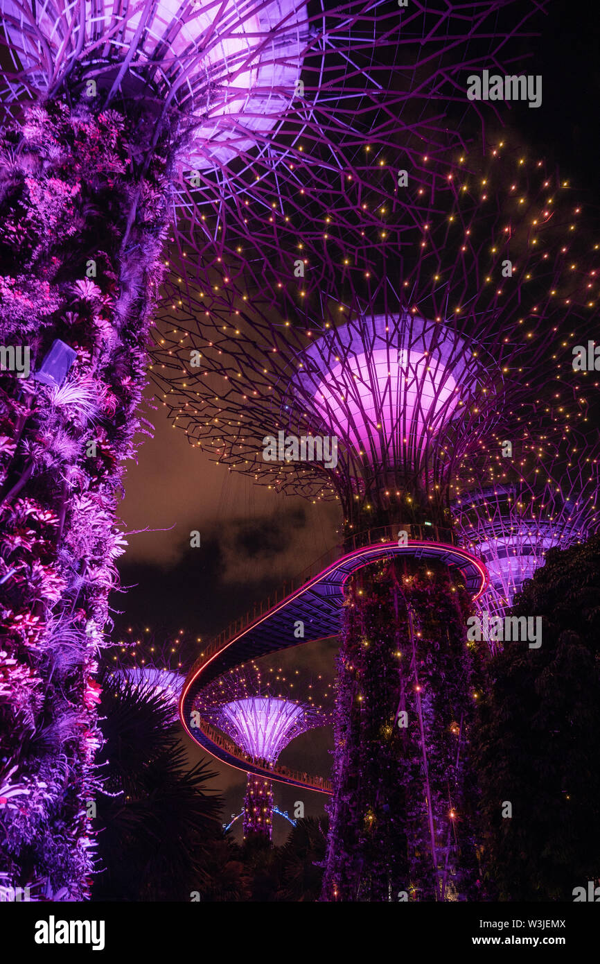 Singapour - 2 Avril, 2018 : Lumière d'arbres géants au jardin par la baie de nuit à Singapour. Banque D'Images