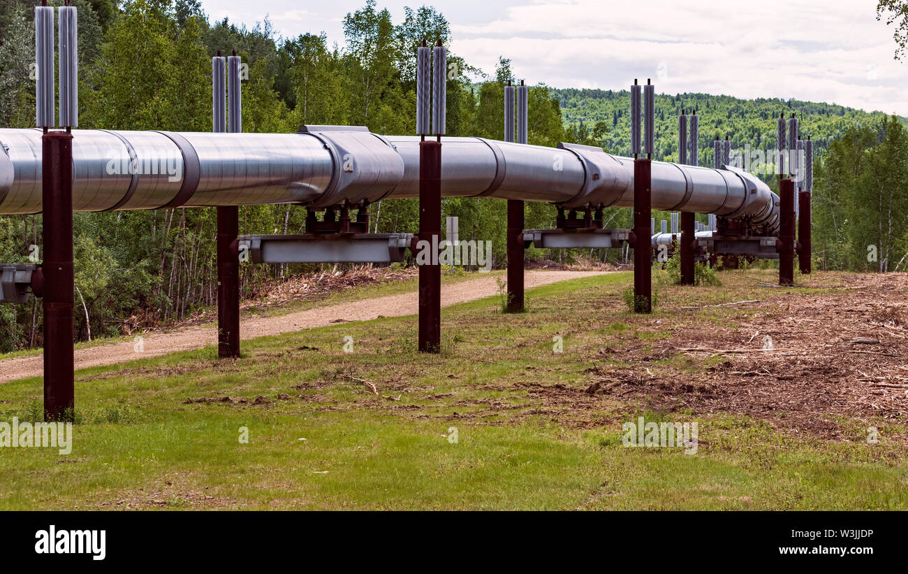 Une partie du pipeline de l'Alaska au nord de Fairbanks serpentant à travers la forêt vallonnée sur un jour nuageux Banque D'Images