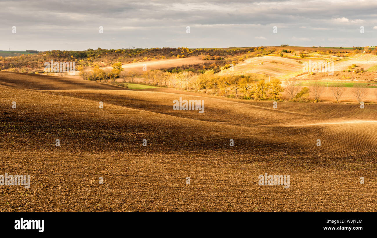 Vue panoramique sur les champs de l'agriculture, nature paysage, Moravie du Sud Banque D'Images