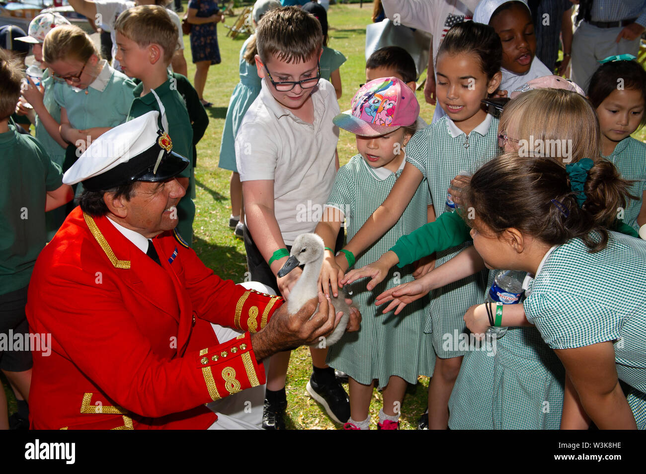 Deux jours de Swan augmentant, Royal Borough of Windsor and Maidenhead, Berkshire, Royaume-Uni. 16 juillet, 2019. Les enfants de l'école de Windsor sont heureux d'être près d'un jeune cygnet tenu par l'imprimeur de la Swan Marqueur, David Barber. à l''Oakley Court Hotel Windsor. Swan est la surenchère britannique traditionnel recensement annuel des cygnes et cygnets sur la Tamise par le dessus avec le dessus de la Swan Vintners' et des teinturiers' livery entreprises. Credit : Maureen McLean/Alamy Live News Banque D'Images