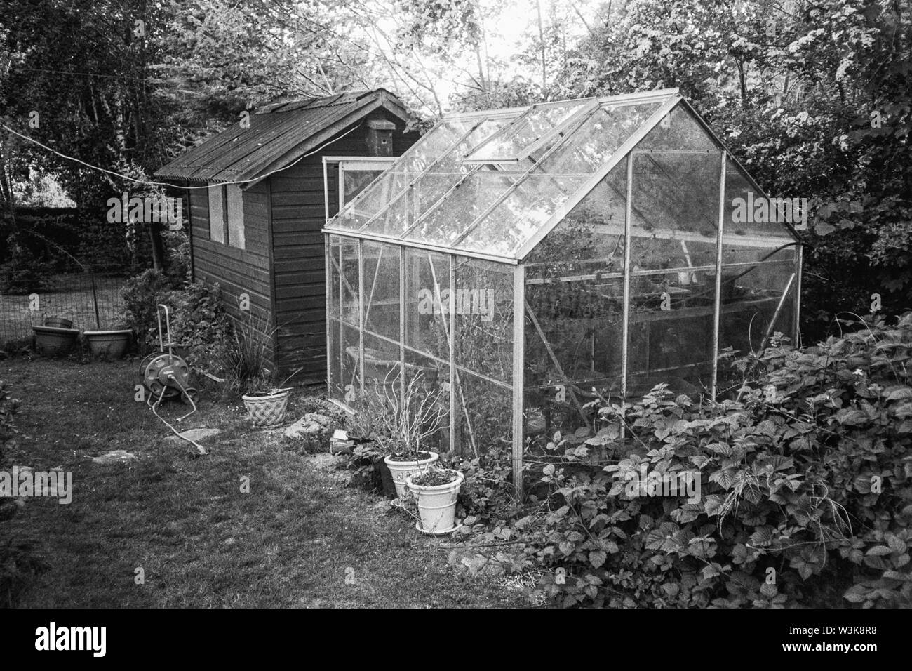 Hangar et serre, Medstead, Hampshire, Angleterre, Royaume-Uni. Banque D'Images