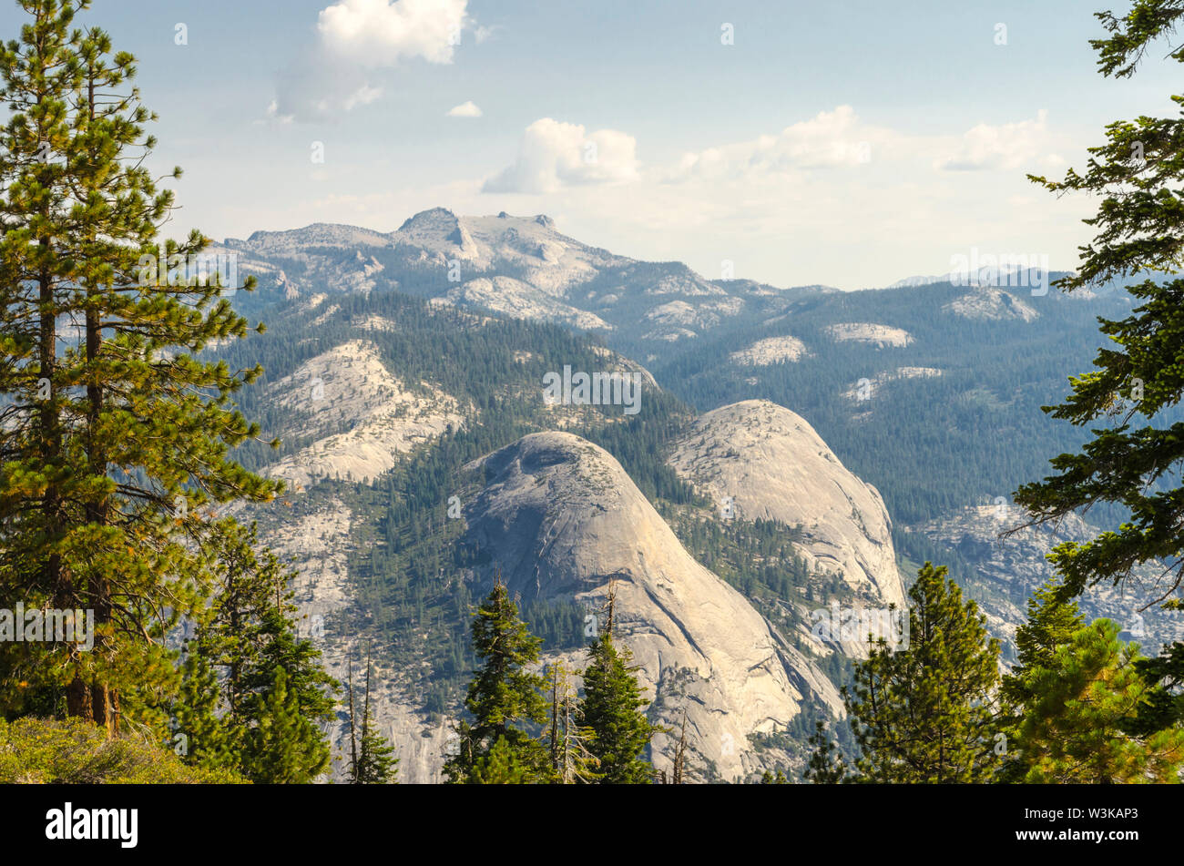 North Dome et panier Dome vue de sentinelle le long de la piste du dôme. Yosemite National Park, California, USA. Banque D'Images