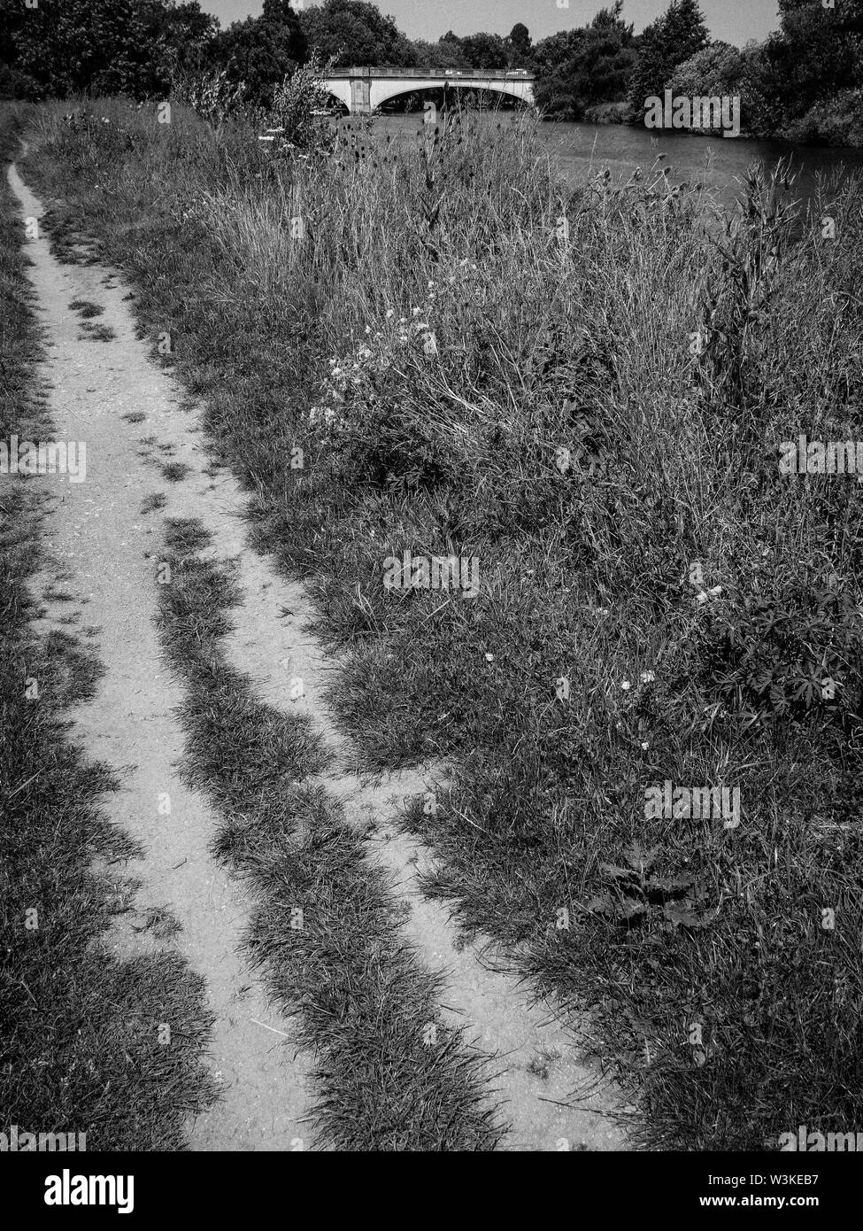 Paysage en noir et blanc, le sentier traverse la Tamise, Albert Bridge, Datchet, Berkshire, Angleterre, RU, FR. Banque D'Images