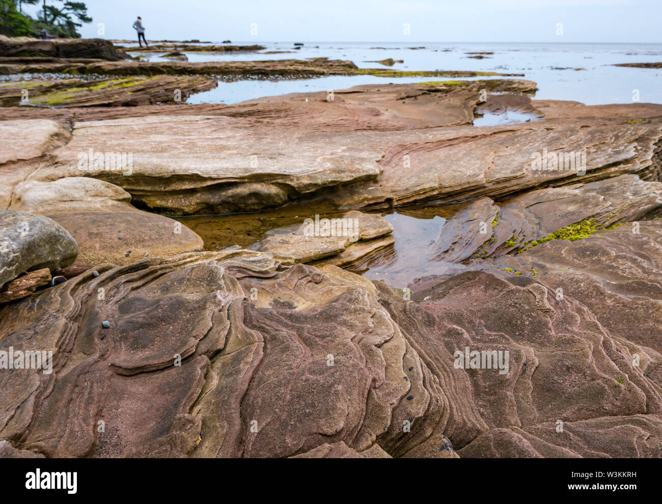 Les couches de roche sédimentaire sur Tyninghame beach, East Lothian, Scotland, UK Banque D'Images