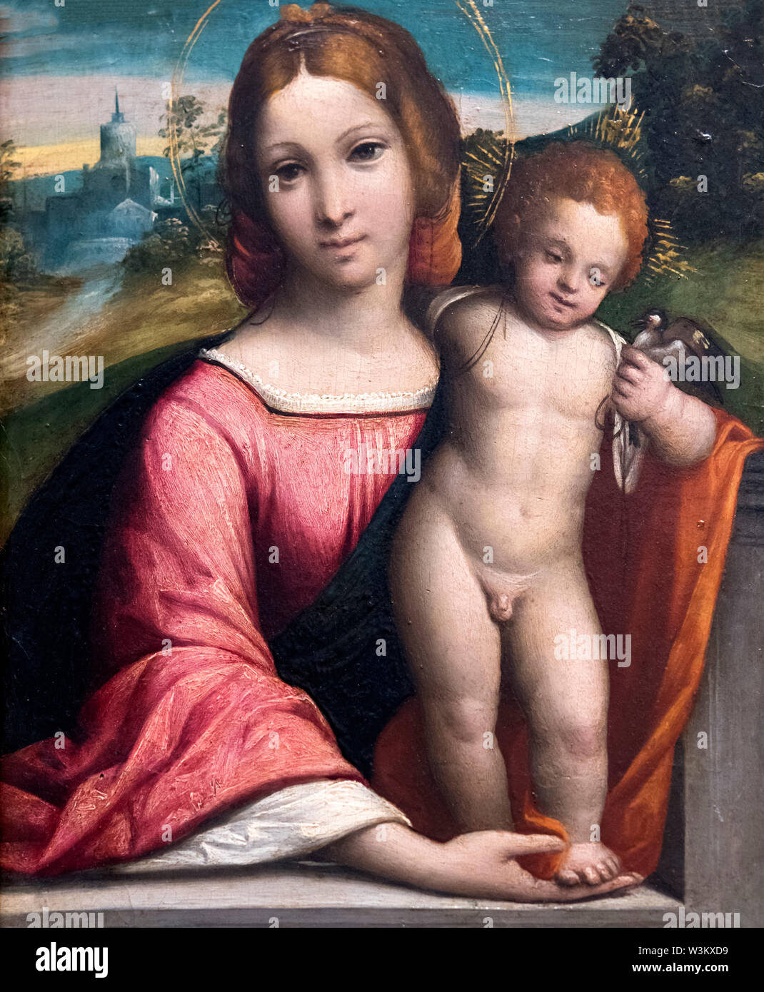 Vierge à l'enfant par Il Garofalo (1481-1559), huile sur bois, 1505-10 Banque D'Images