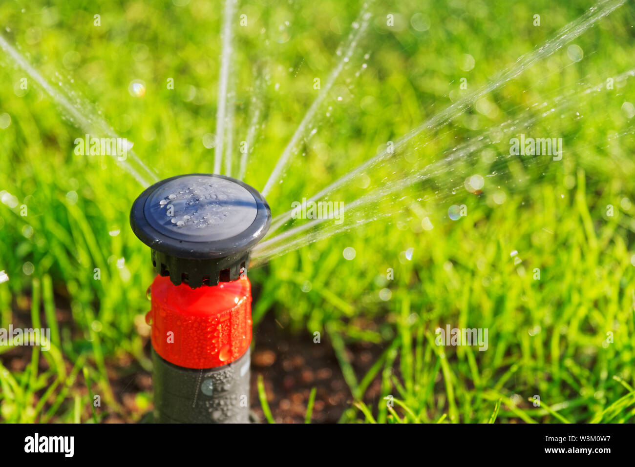 L'arrosage des pelouses vertes par sprinkleur automatique pop-up Banque D'Images