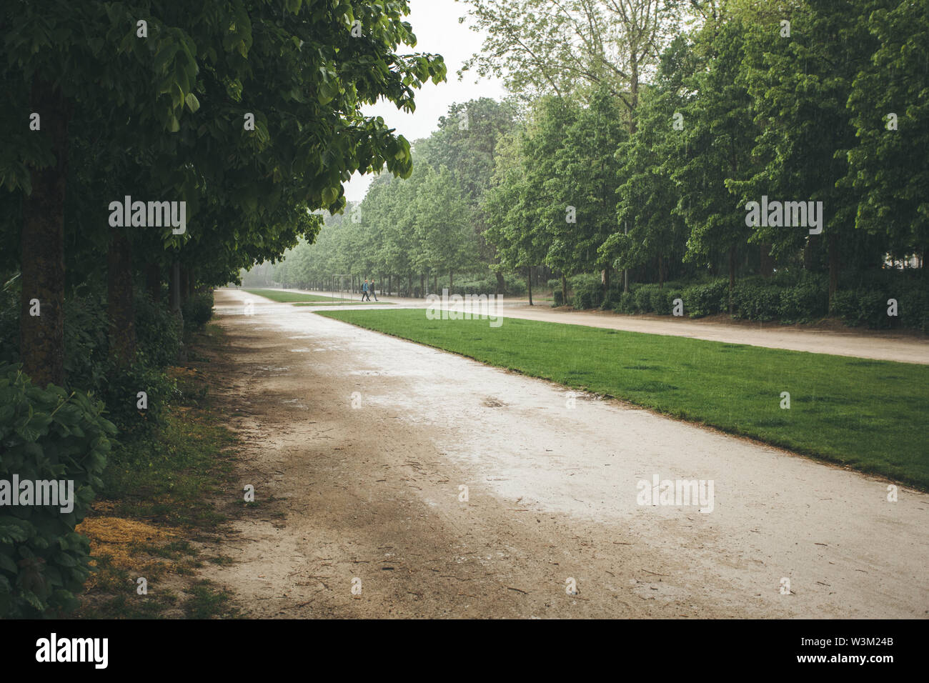 Debout, le parc Royal de Bruxelles. Banque D'Images
