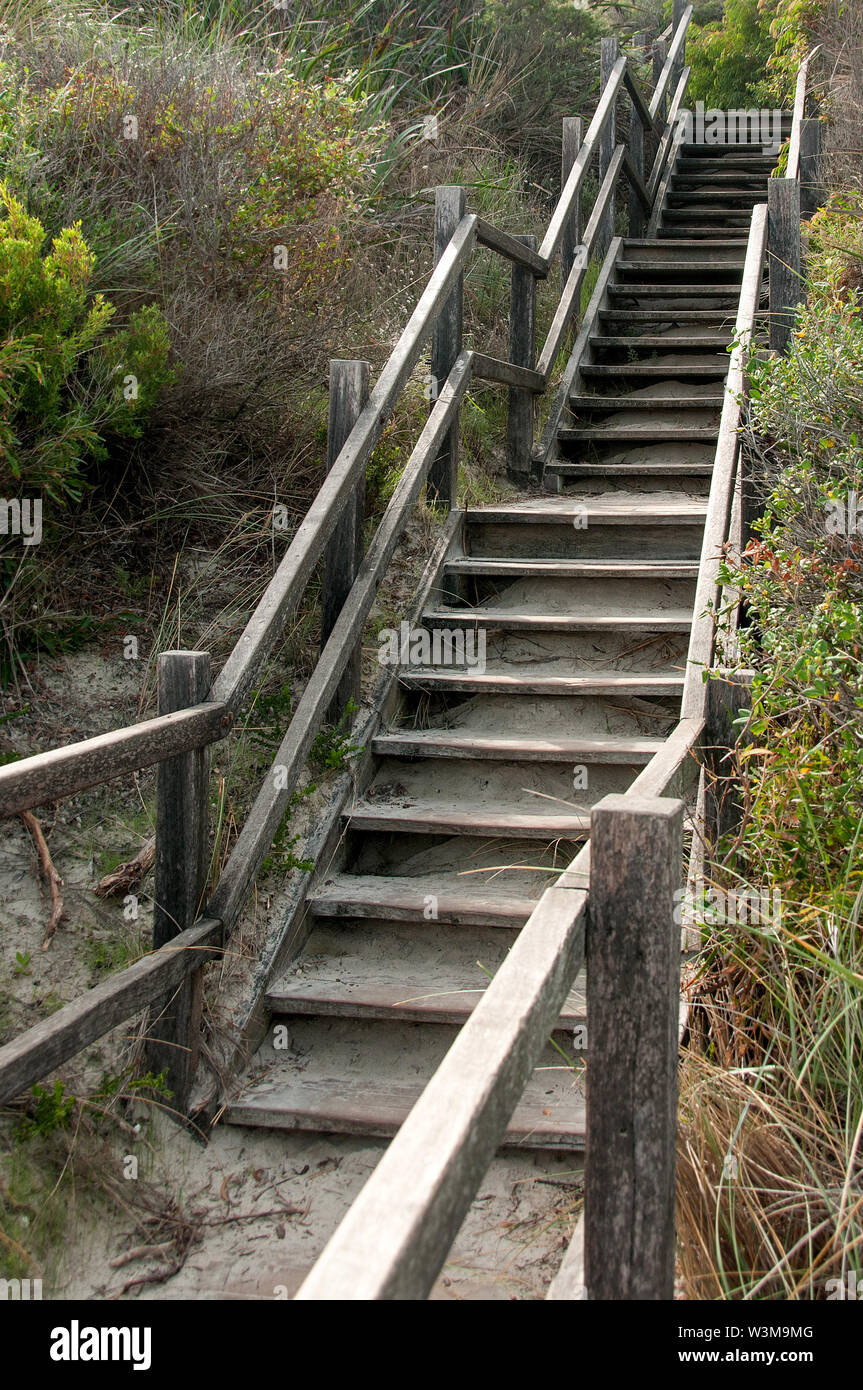 Vide d'extérieur en bois escalier / étapes à Perth, Australie Banque D'Images