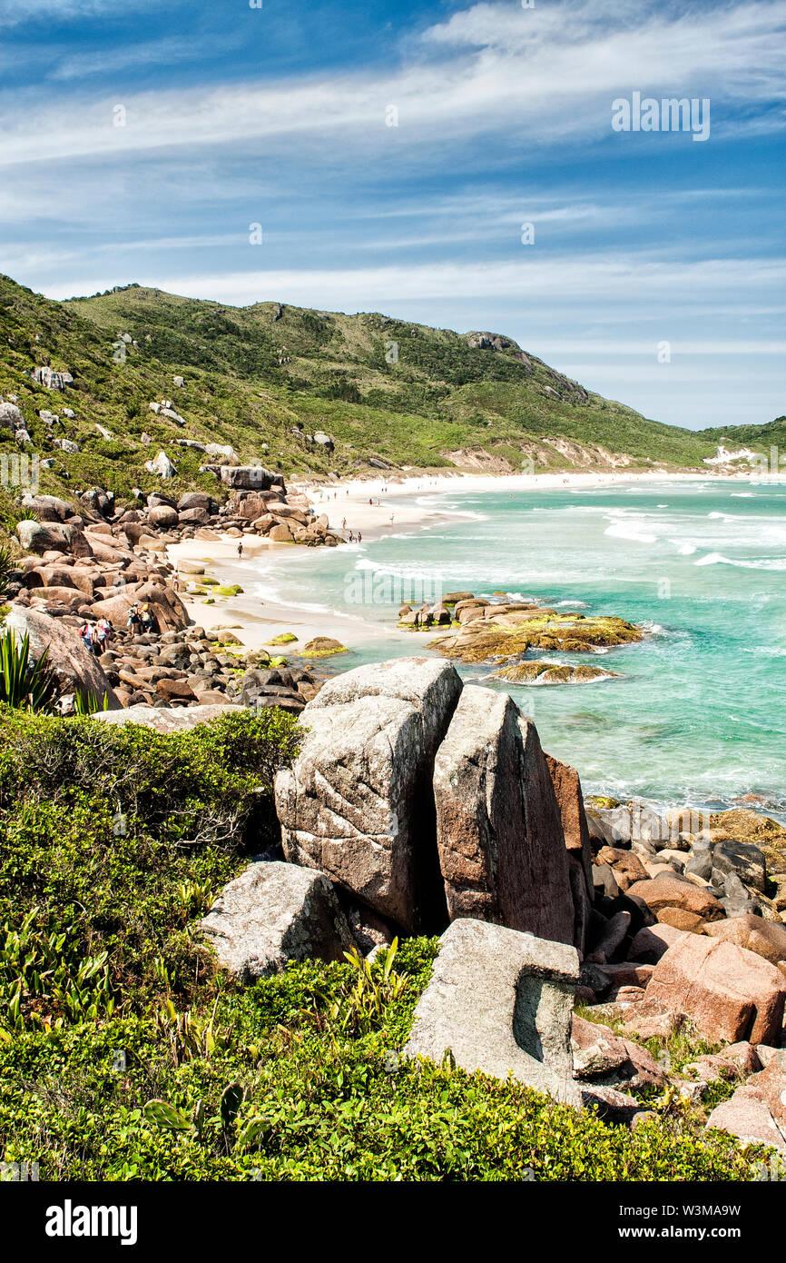 Plage de Galheta. Florianópolis, Santa Catarina, Brésil. Banque D'Images