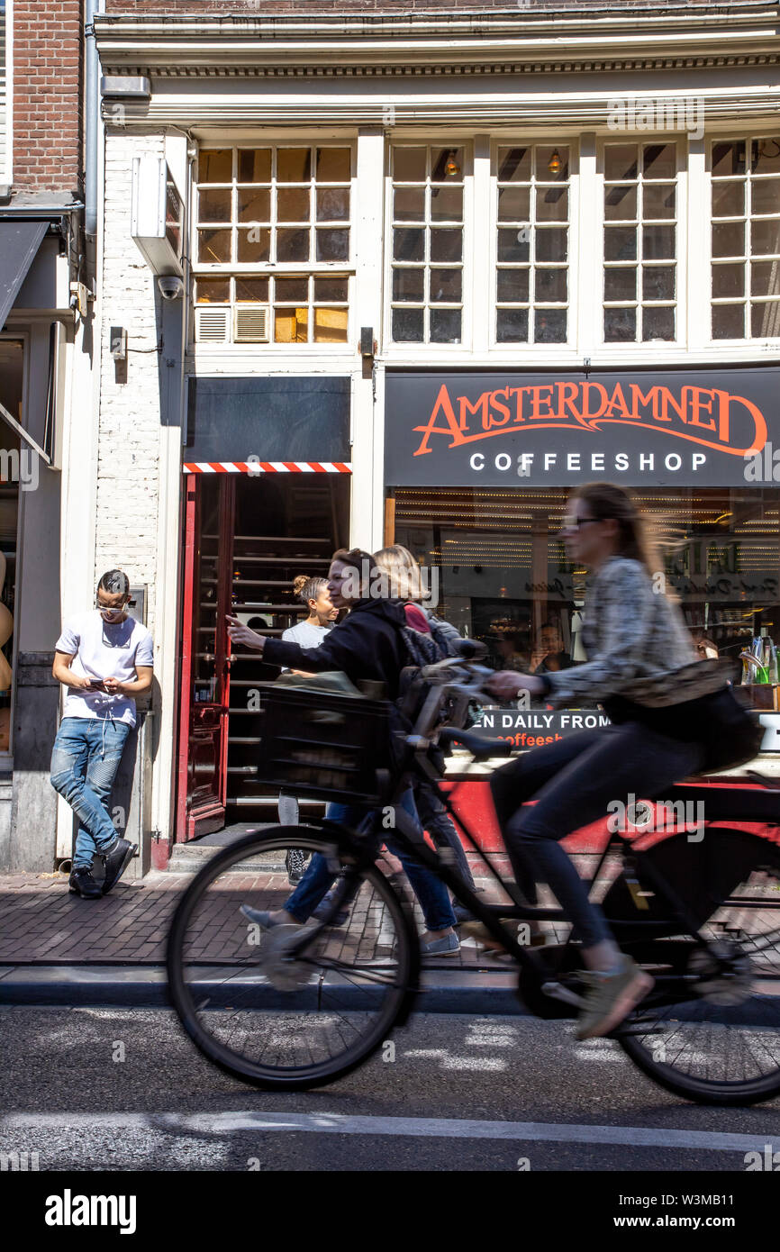 Amsterdam, Pays-Bas, le centre-ville, Vieille Ville, Harlemmerstraat, Coffeeshop, Banque D'Images
