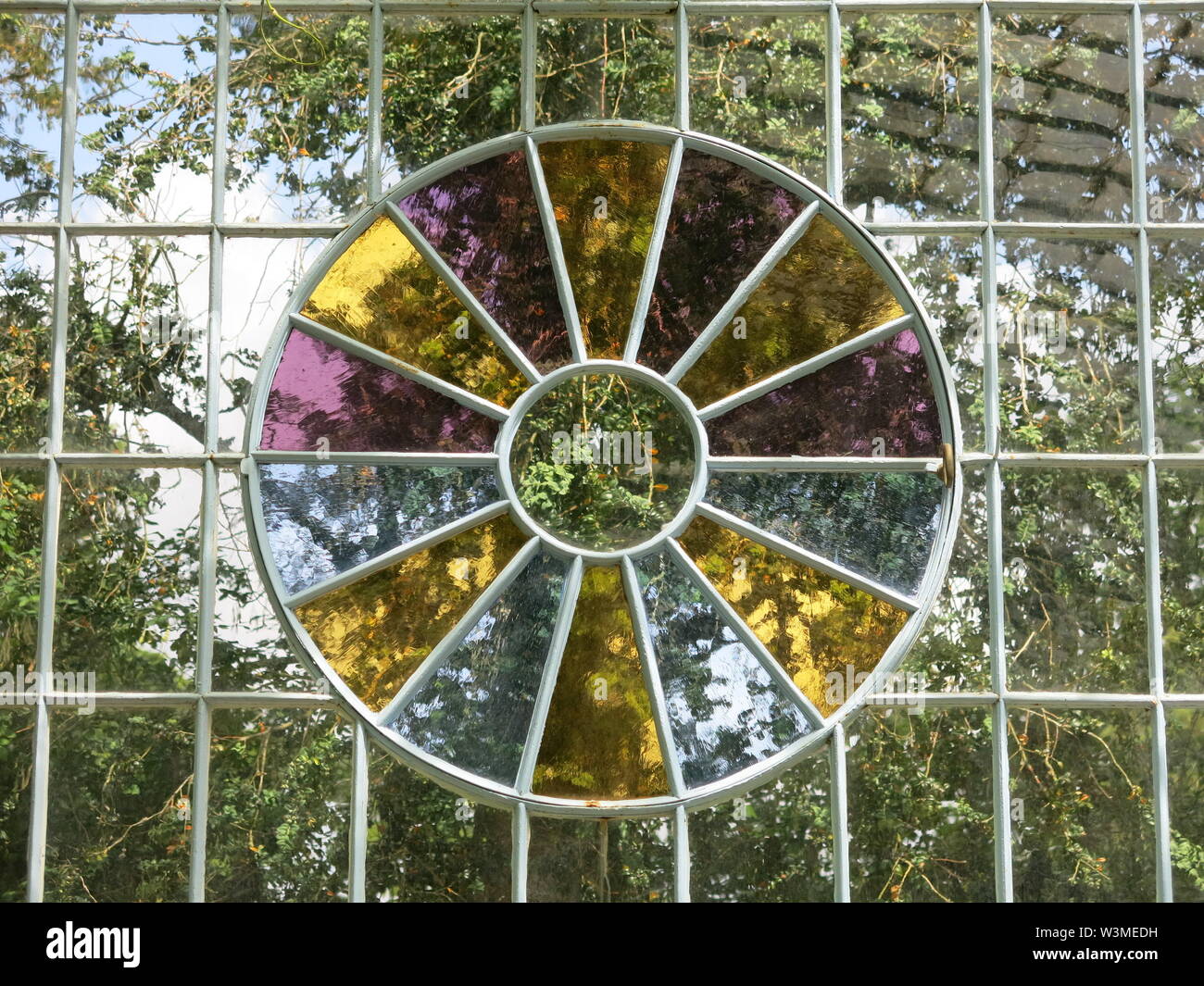 Prises dans une serre avec des panneaux de verre rectangulaire, la fonction round vitrail donne une rose, jaune et bleu pour les arbres à l'extérieur. Banque D'Images