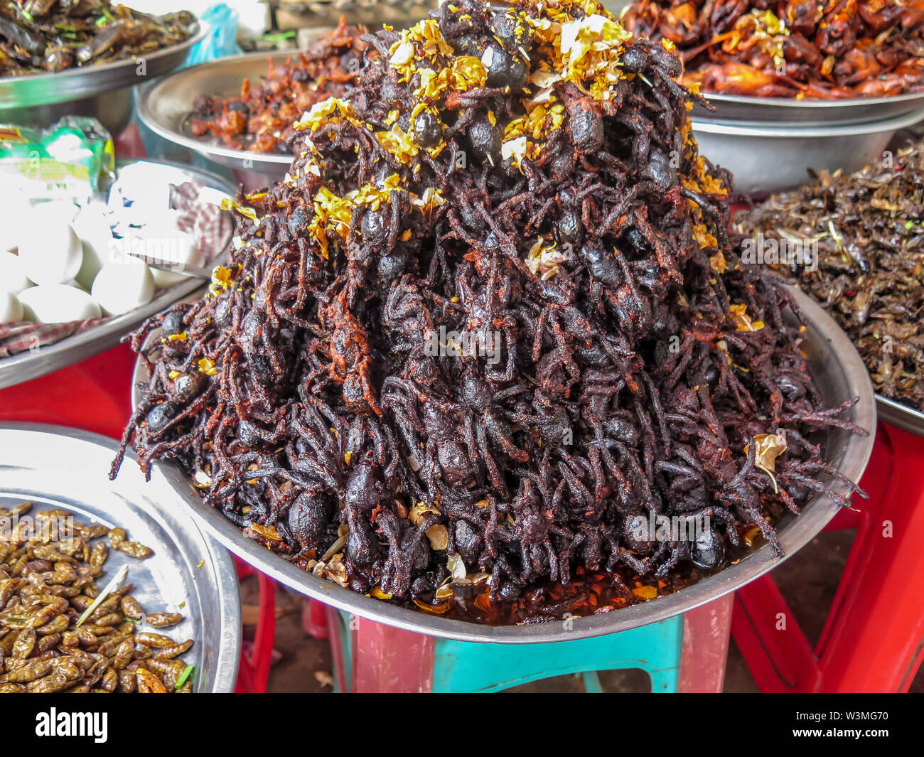 Des araignées, des grillons, blattes et autres insectes frits dans un marché cambodgien Banque D'Images