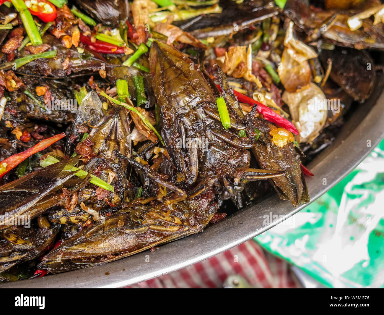 Des araignées, des grillons, blattes et autres insectes frits dans un marché cambodgien Banque D'Images