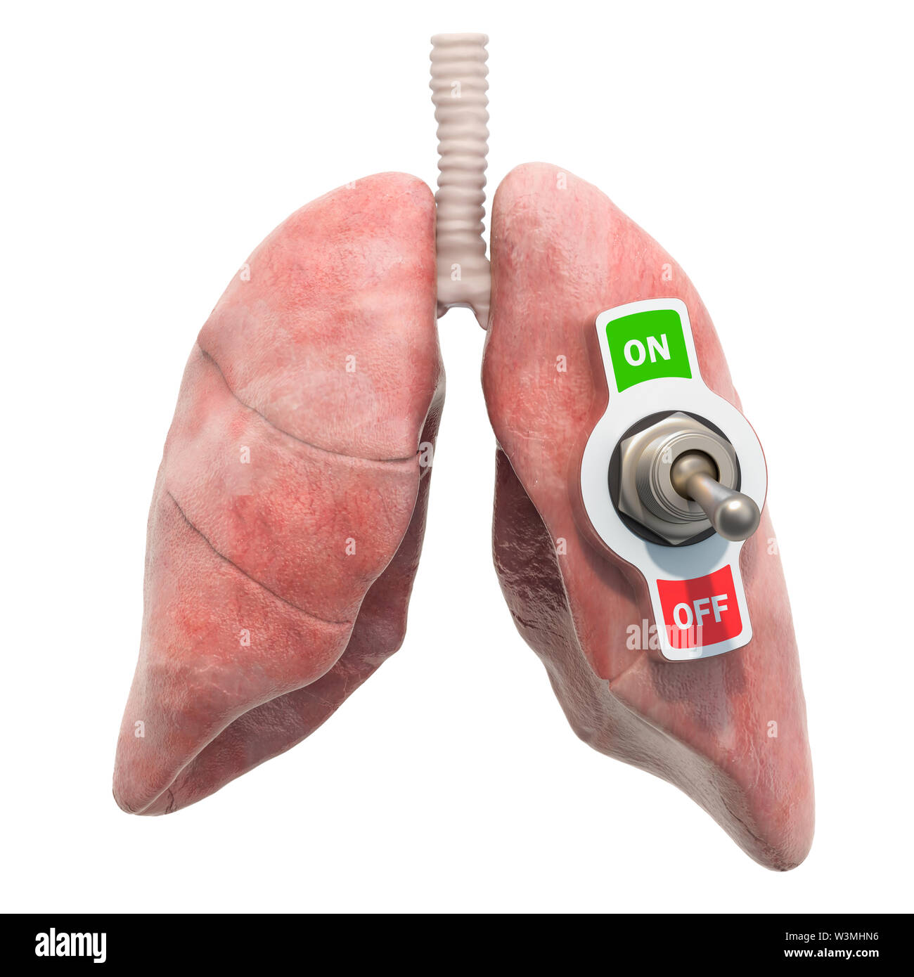 Concept de maladie des poumons. Les poumons avec l'interrupteur à bascule. Le rendu 3D isolé sur fond blanc Banque D'Images