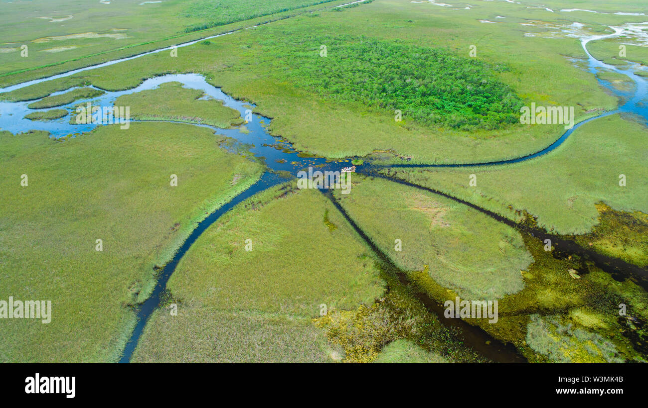 Tour en airboat Parc National des Everglades. Miami. La Floride. USA. Banque D'Images Tour en airboat Parc National des Everglades. Miami. La Floride. USA. Banque D'Images