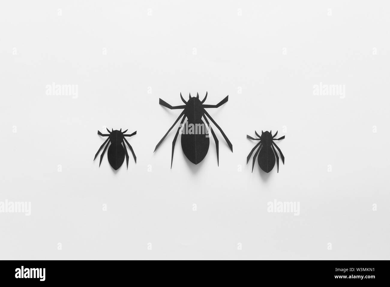 Araignées sur fond blanc. Halloween de concept. Les insectes noirs sur l'arrière-plan. Haut de la vue, télévision lay Banque D'Images