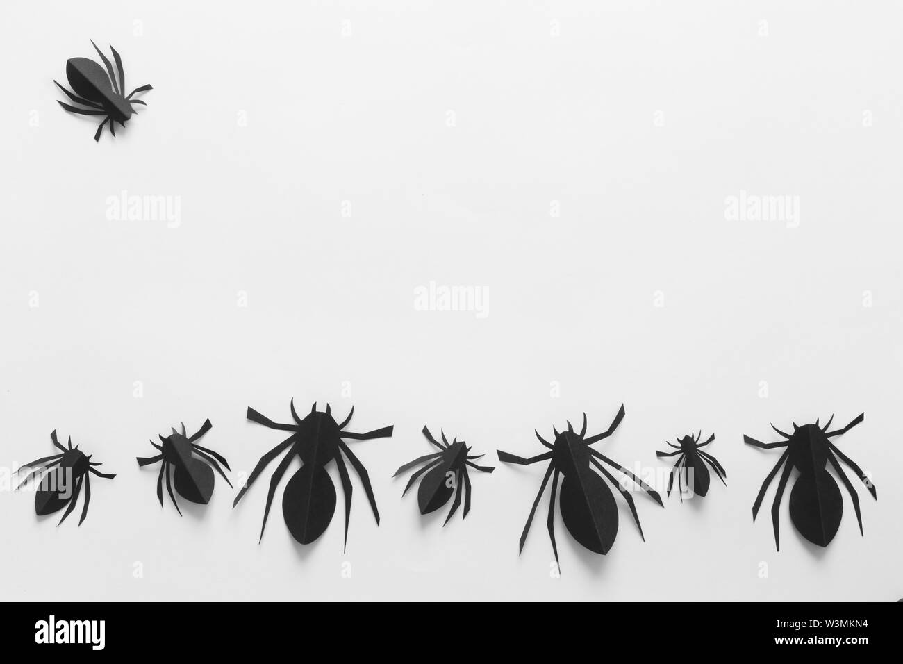 Araignées sur fond blanc. Halloween de concept. Les insectes noirs sur l'arrière-plan. Haut de la vue, télévision lay Banque D'Images