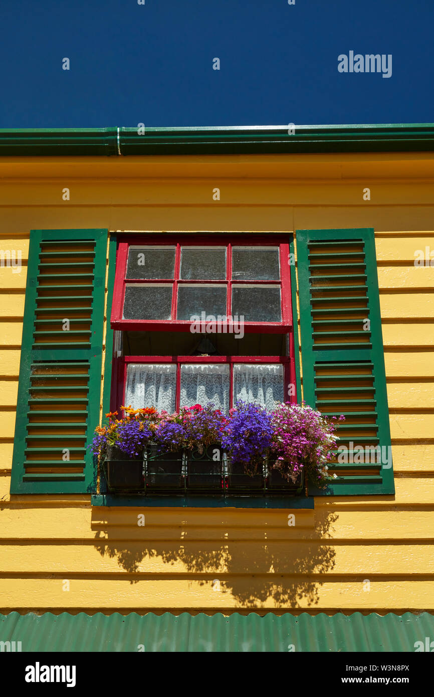 Fleurs et fenêtre, Feu et Glace La Boutique, Akaroa, la péninsule de Banks, Canterbury, île du Sud, Nouvelle-Zélande Banque D'Images