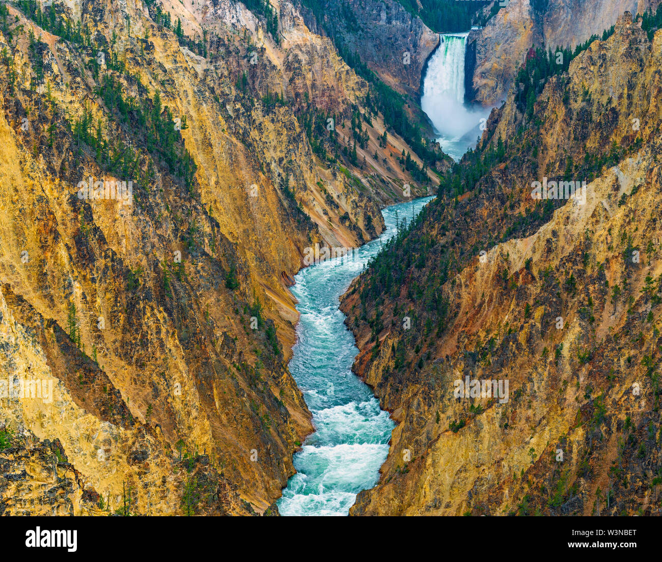 Grand Canyon de la Yellowstone avec la basse tombe en arrière-plan et la Yellowstone River au-dessous, le parc national de Yellowstone, Wyoming, USA. Banque D'Images