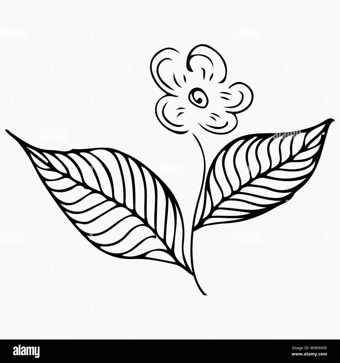 Modèle d'art de la ligne. Doodle vecteur d'arrière-plan. Dessin de contour. Botanique Floral fleur. White Orchid illustration. Arrière-plan de l'été. Vector hand drawn Illustration de Vecteur