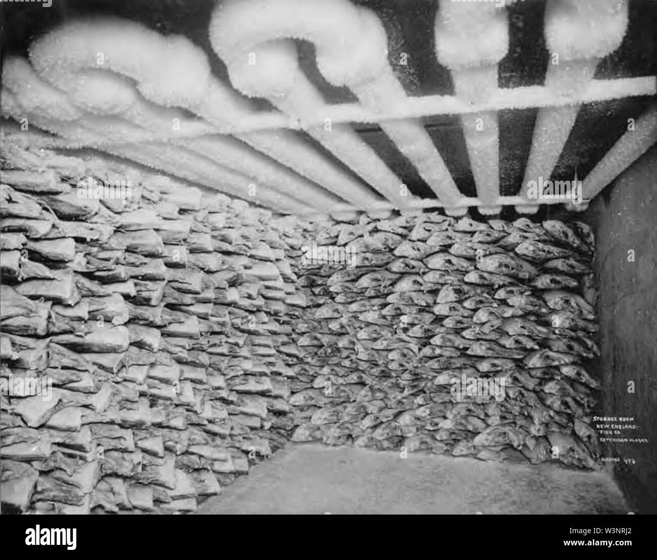 Chambre froide, de la Nouvelle Angleterre entreprise usine de poisson à Ketchikan, Alaska entre 1903 et 1913 (AL CA 3371). Banque D'Images