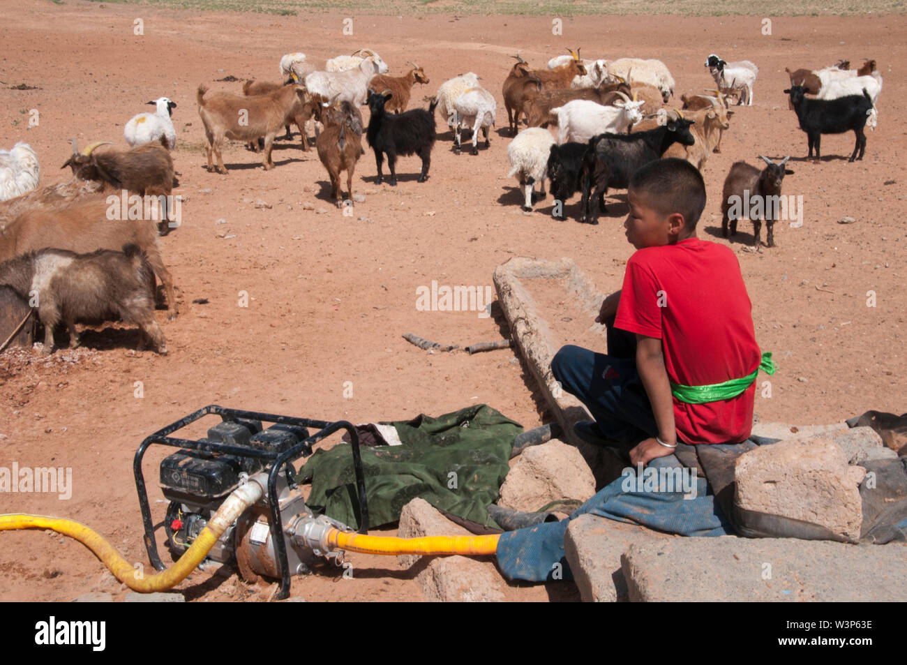 Les garçons de la famille de l'eau à une chèvre bien dans le désert de Gobi, Mongolie Banque D'Images