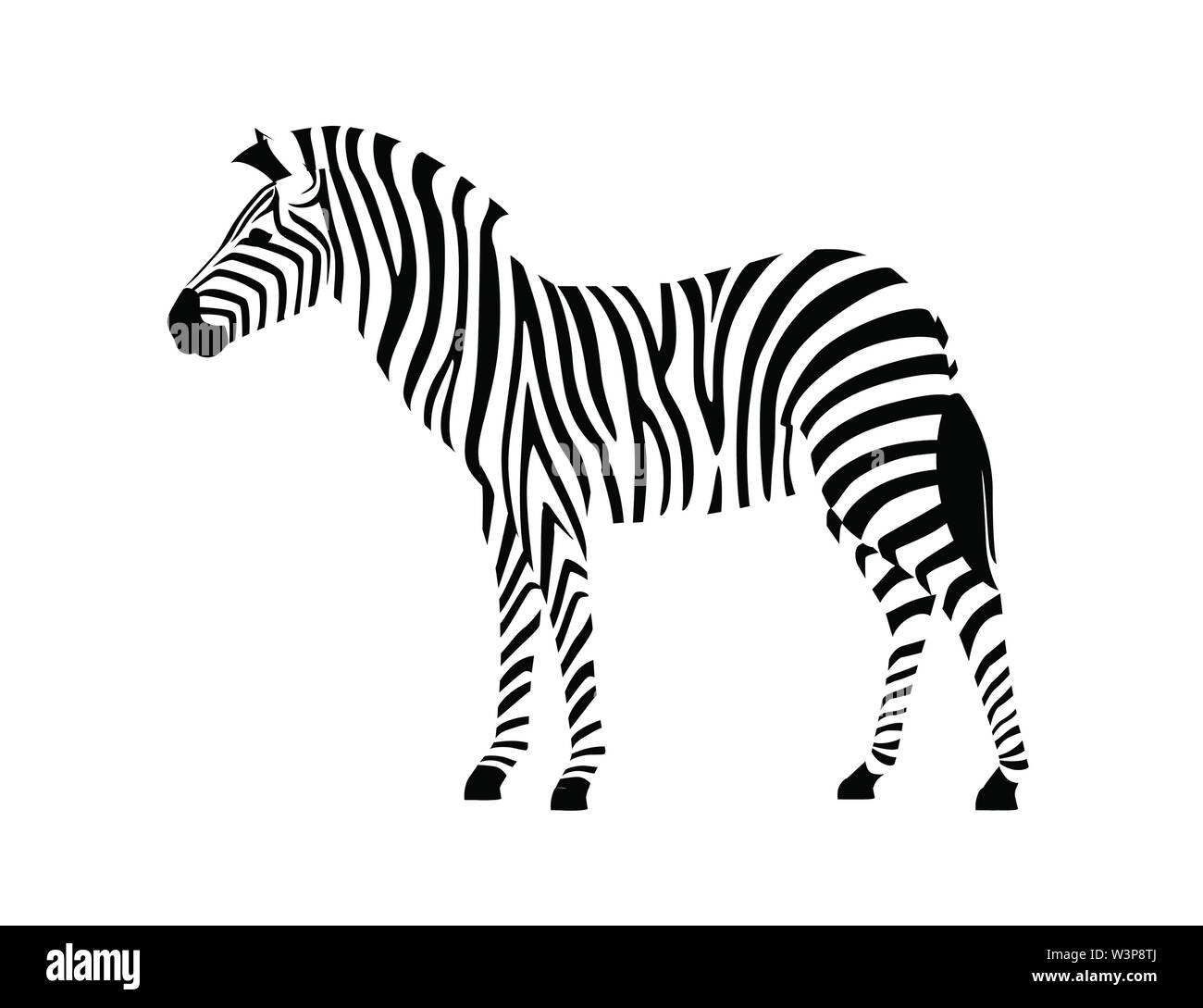 Vue côté zebra africaine contours silhouette rayures design animal télévision vector illustration isolé sur fond blanc. Illustration de Vecteur
