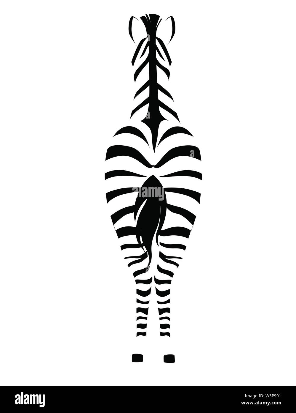 African zebra retour voir les contours silhouette rayures design animal télévision vector illustration isolé sur fond blanc. Illustration de Vecteur