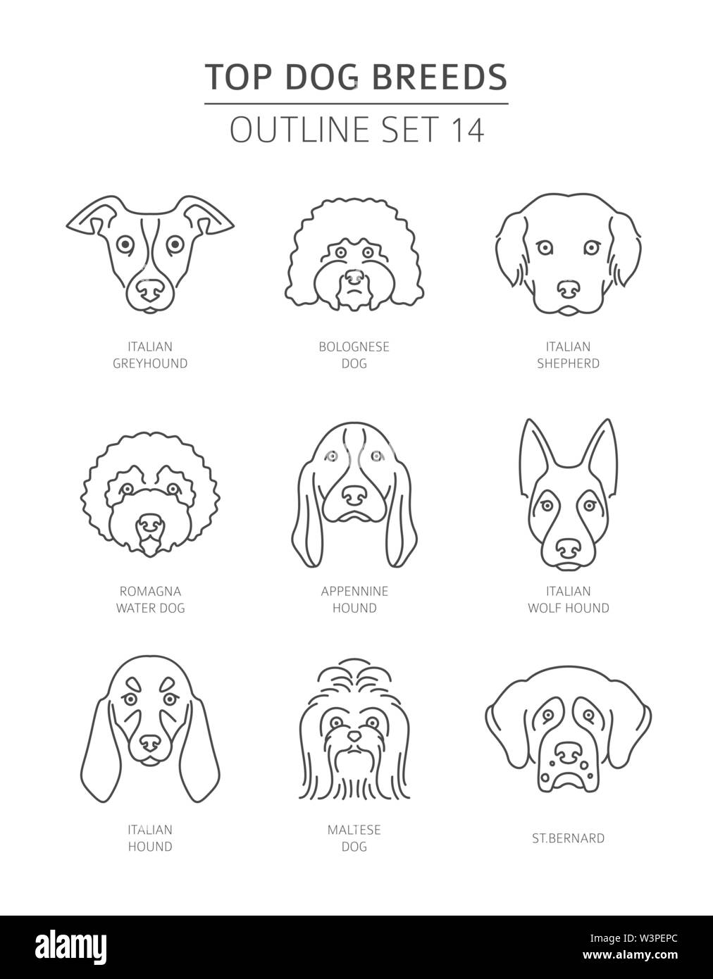 Haut de races de chien. Contours d'animaux collection. Vector illustration Illustration de Vecteur