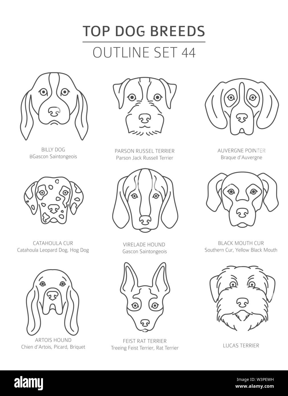 Haut de races de chien. Les chiens de chasse. Contours d'animaux collection. Vector illustration Illustration de Vecteur
