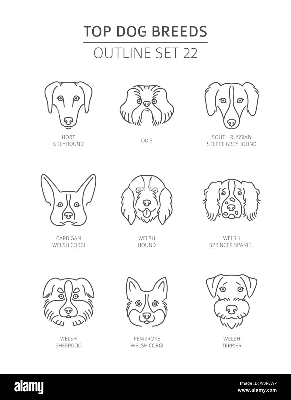 Haut de races de chien. Contours d'animaux collection. Vector illustration Illustration de Vecteur