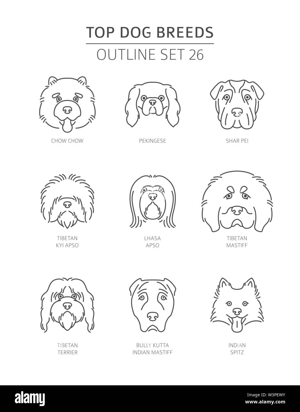 Haut de races de chien. Contours d'animaux collection. Vector illustration Illustration de Vecteur