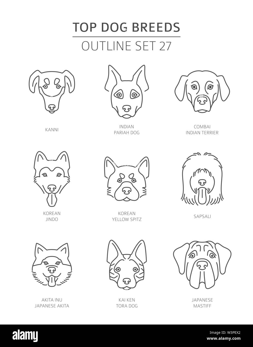 Haut de races de chien. Contours d'animaux collection. Vector illustration Illustration de Vecteur