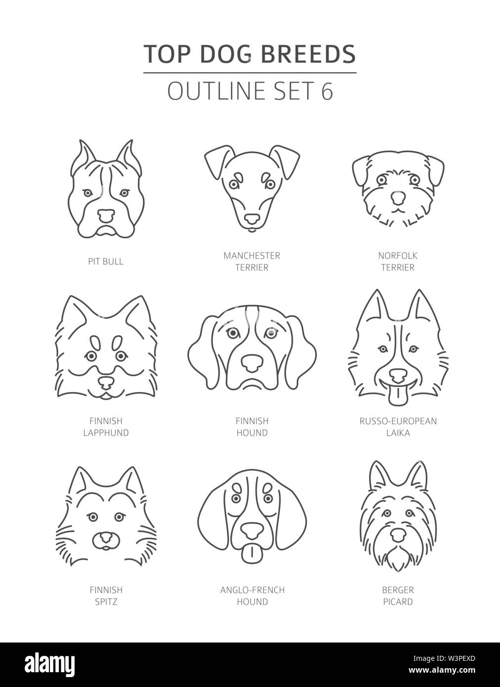 Haut de races de chien. Contours d'animaux collection. Vector illustration Illustration de Vecteur
