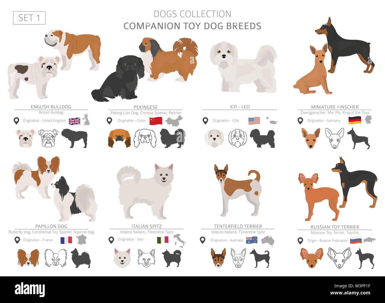 Jouet miniature et de compagnie chiens collection isolated on white. Style plat. Autre couleur et pays d'origine. Vector illustration Illustration de Vecteur