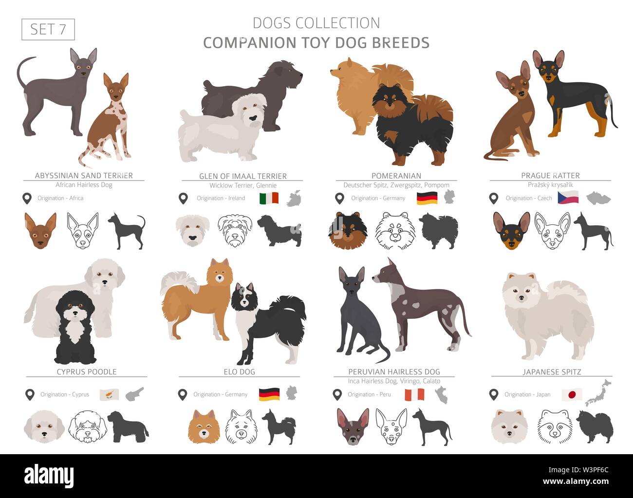 Jouet miniature et de compagnie chiens collection isolated on white. Style plat. Autre couleur et pays d'origine. Vector illustration Illustration de Vecteur