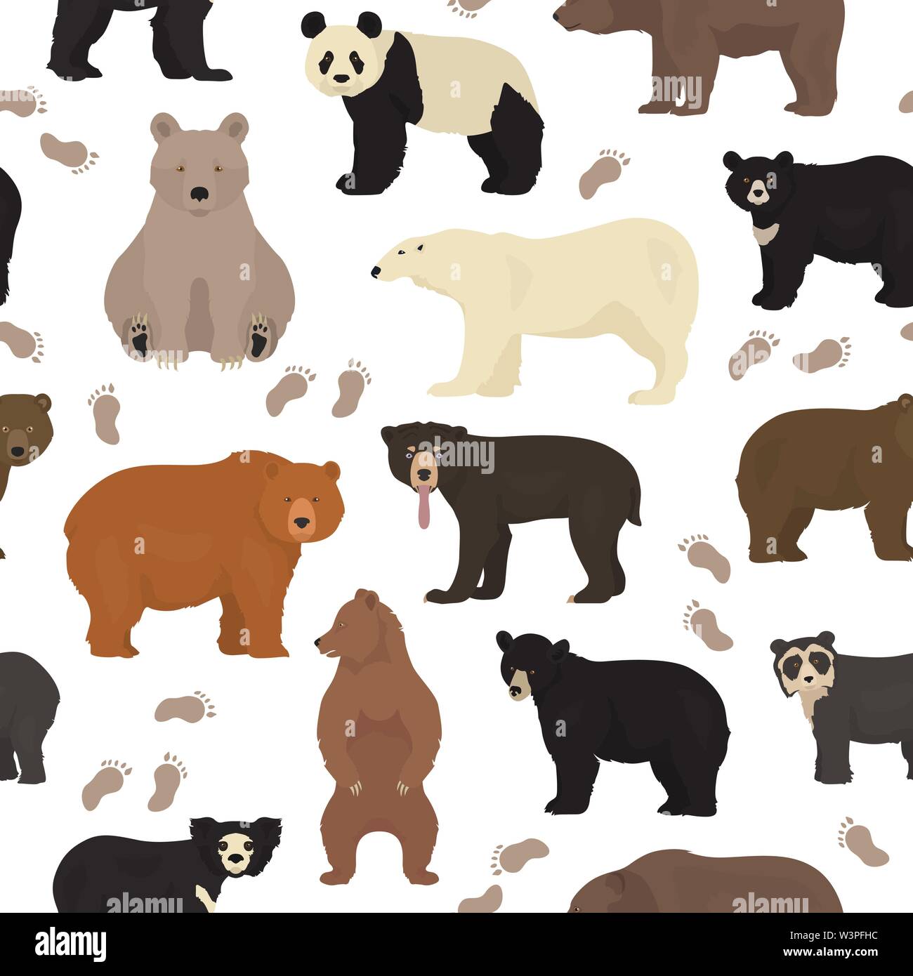 Toutes les espèces d'ours du monde dans un seul ensemble. Modèle sans couture. Ours Vector illustration Illustration de Vecteur