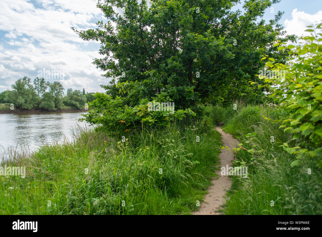 Un safari-photo dans le parc Atkinson à Brême sur la rivière Lesum Banque D'Images