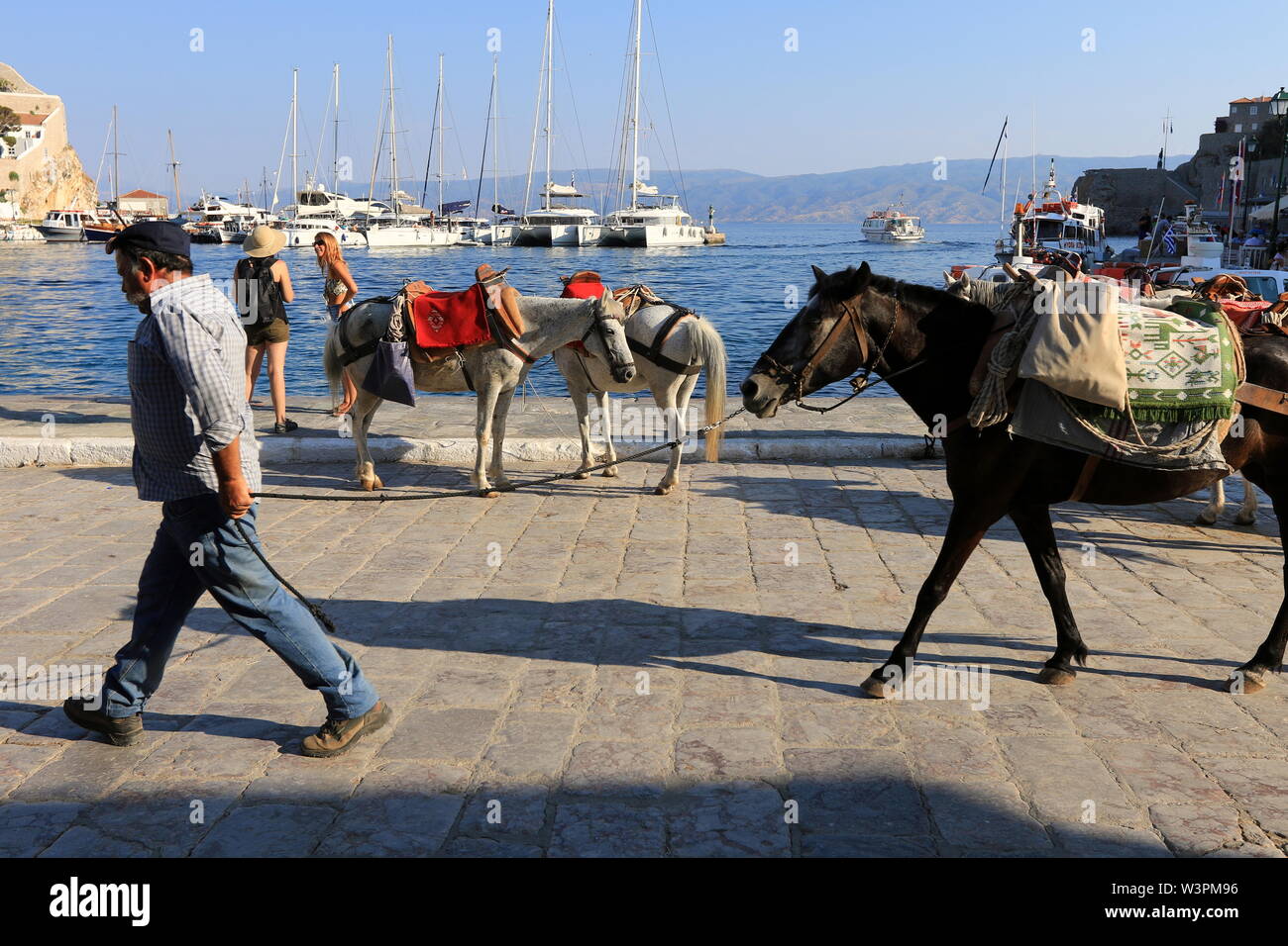 L'homme tirant une mule au port d''Hydra, l'île d'Hydra, Grèce. Banque D'Images