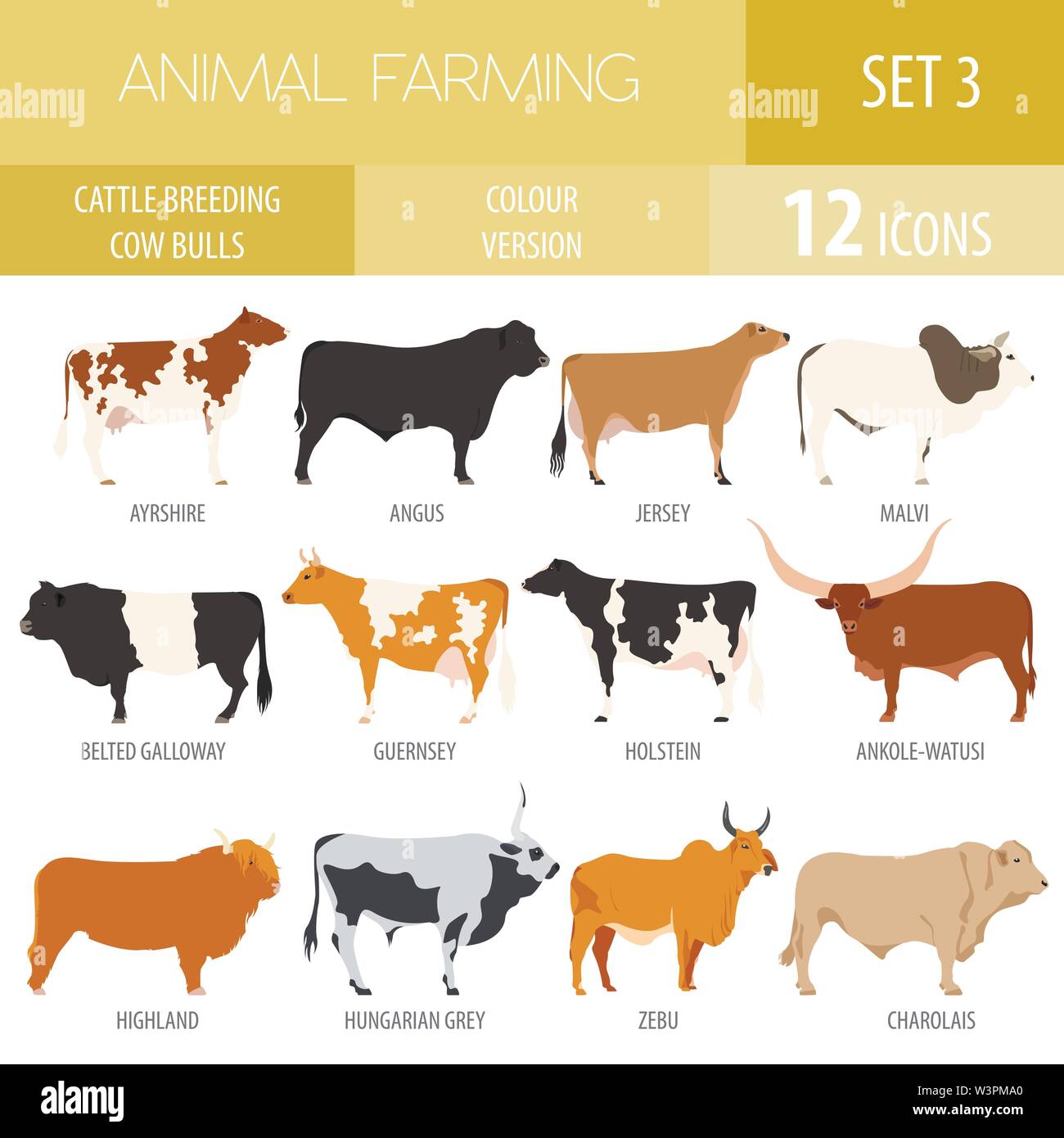 L'élevage de l'agriculture. Vache, race taureaux icon set. Modèle plat. Vector illustration Illustration de Vecteur