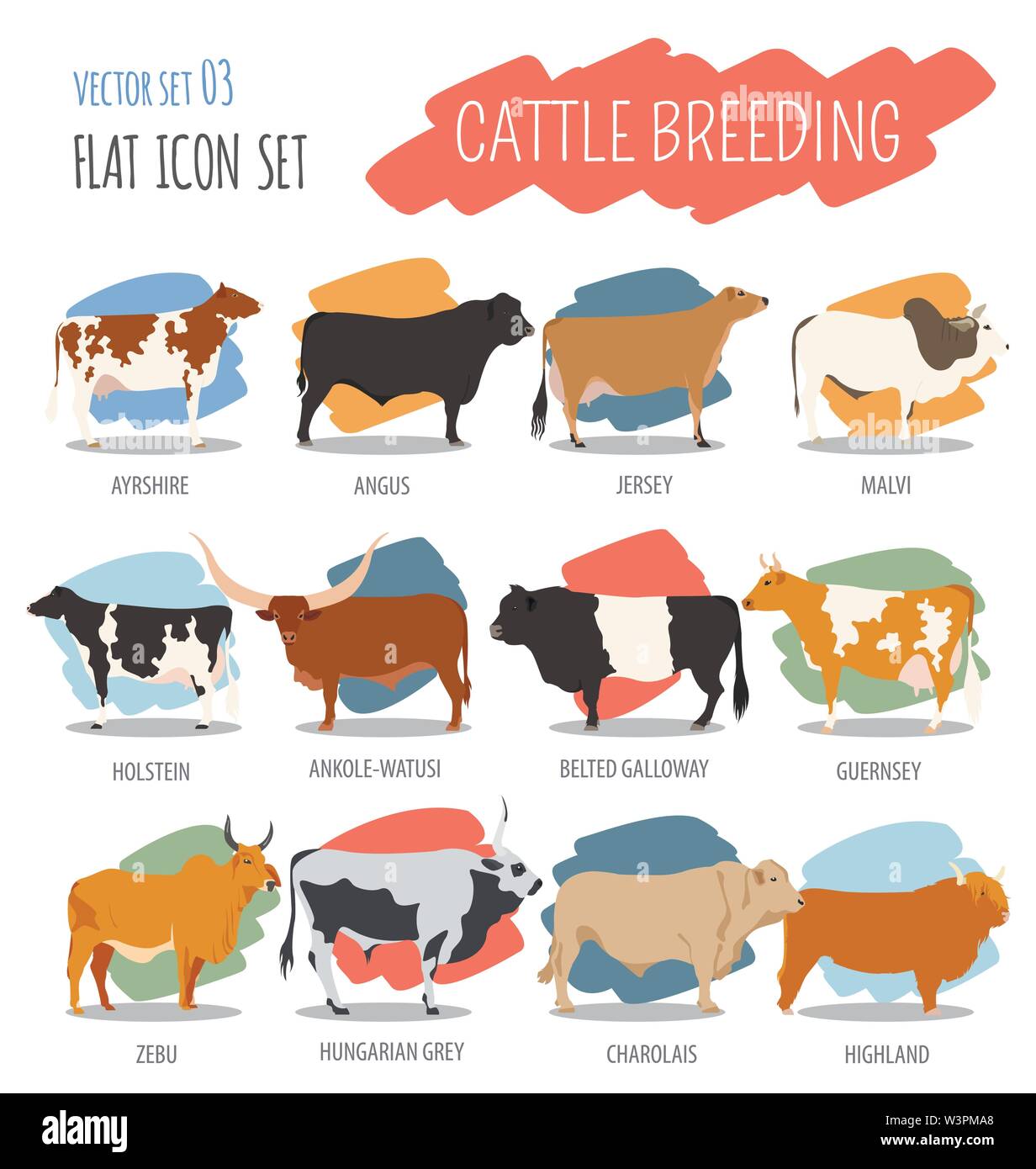 L'élevage de l'agriculture. Vache, race taureaux icon set. Modèle plat. Vector illustration Illustration de Vecteur