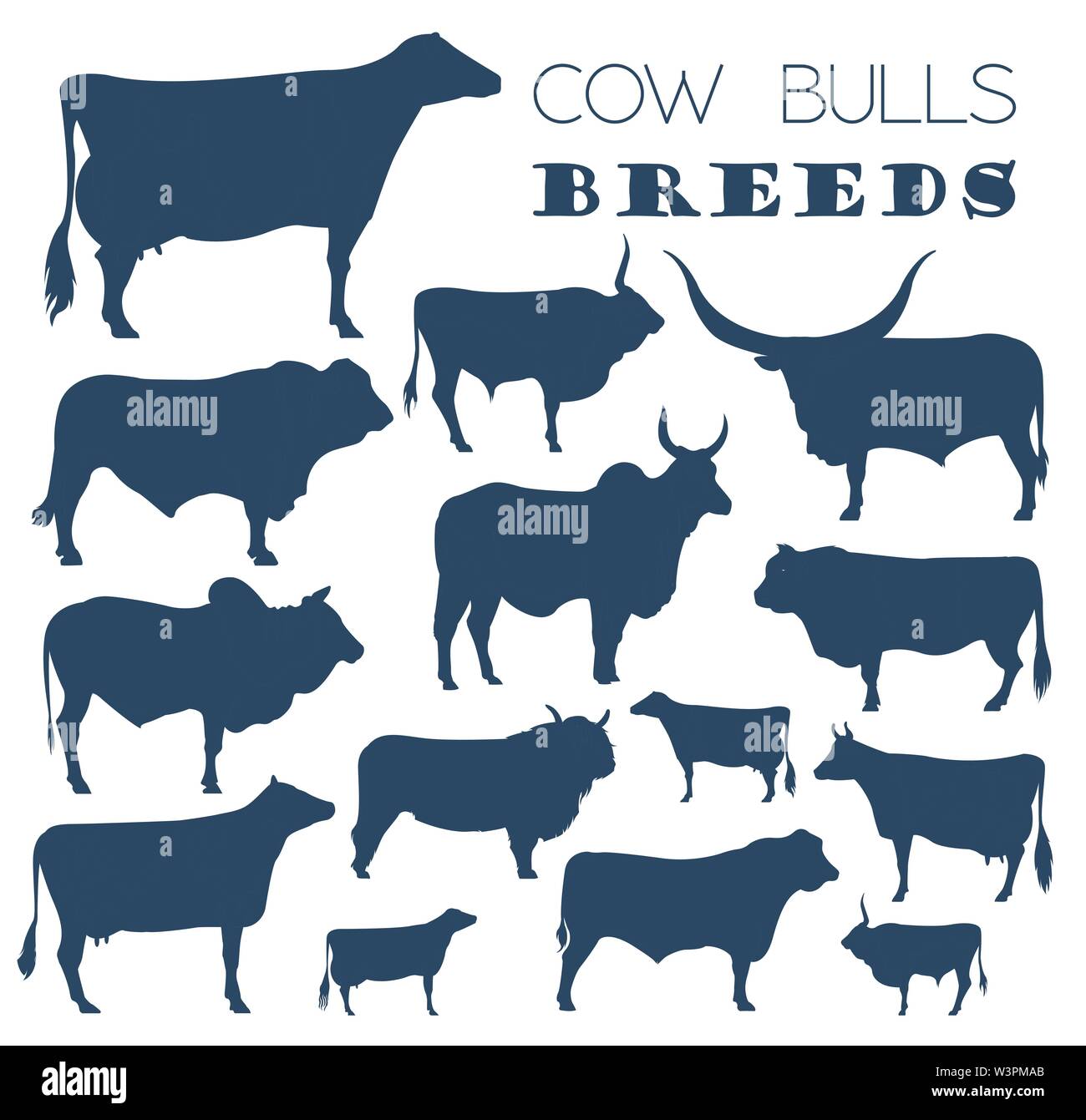 L'élevage de l'agriculture. Vache, race taureaux icon set. Modèle plat. Vector illustration Illustration de Vecteur