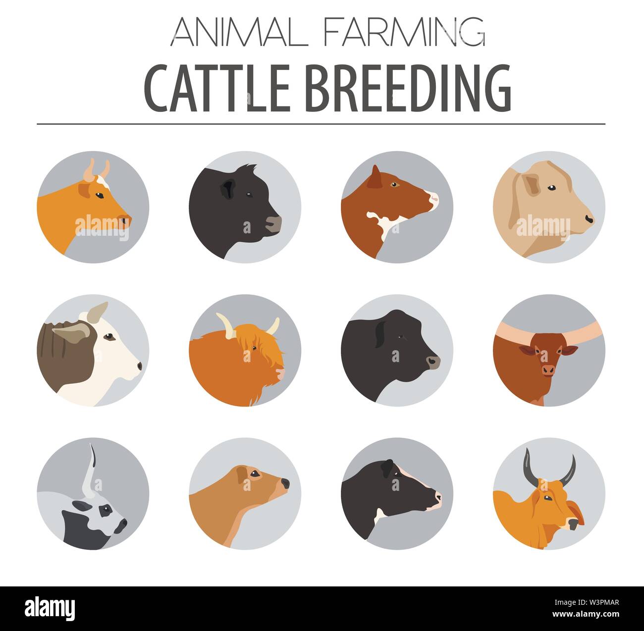 L'élevage de l'agriculture. Vache, race taureaux icon set. Modèle plat. Vector illustration Illustration de Vecteur