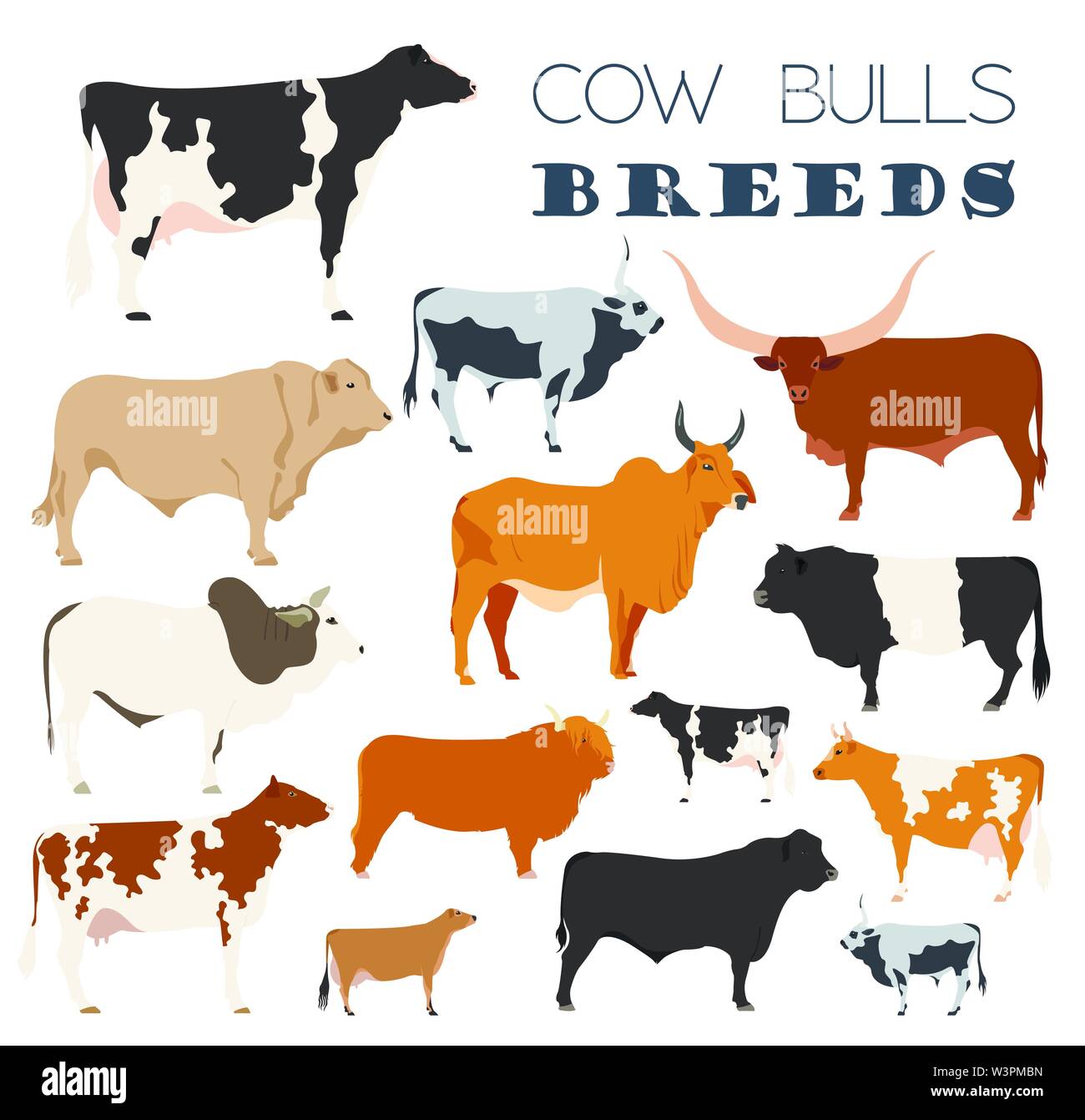 L'élevage de l'agriculture. Vache, race taureaux icon set. Modèle plat. Vector illustration Illustration de Vecteur