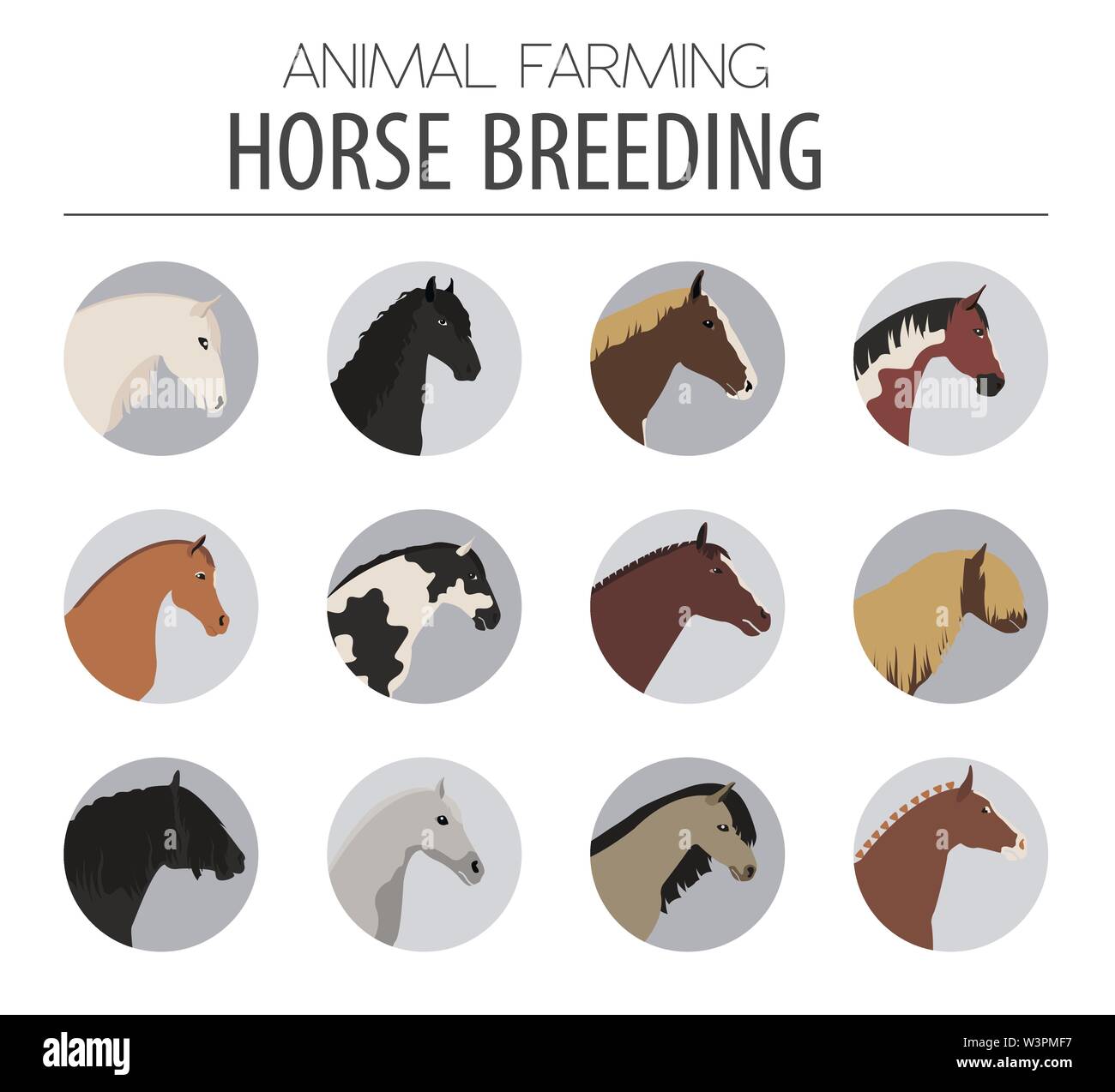 L'élevage des chevaux icon set. Des animaux de ferme. Modèle plat. Vector illustration Illustration de Vecteur