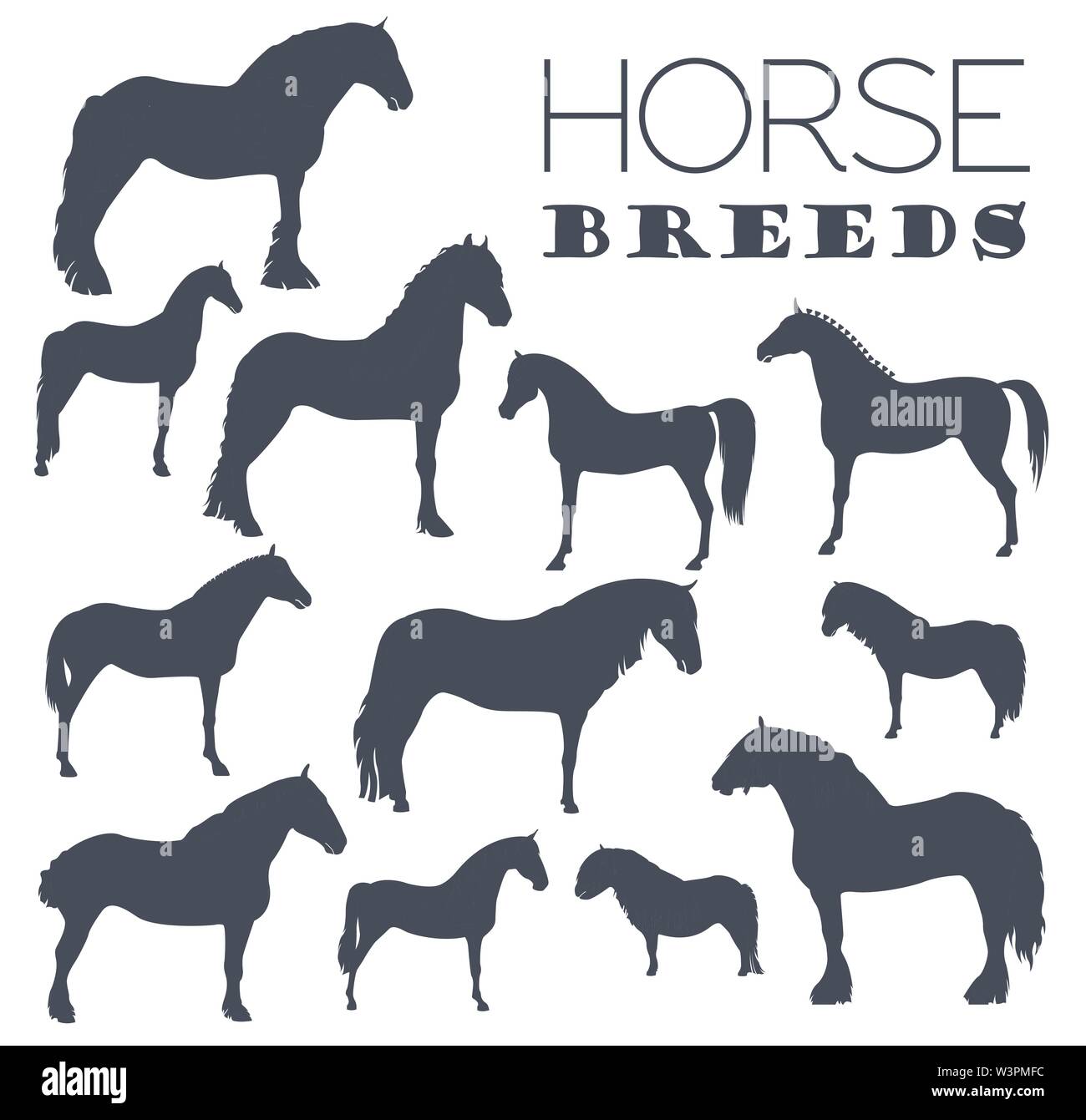 L'élevage des chevaux icon set. Des animaux de ferme. Modèle plat. Vector illustration Illustration de Vecteur