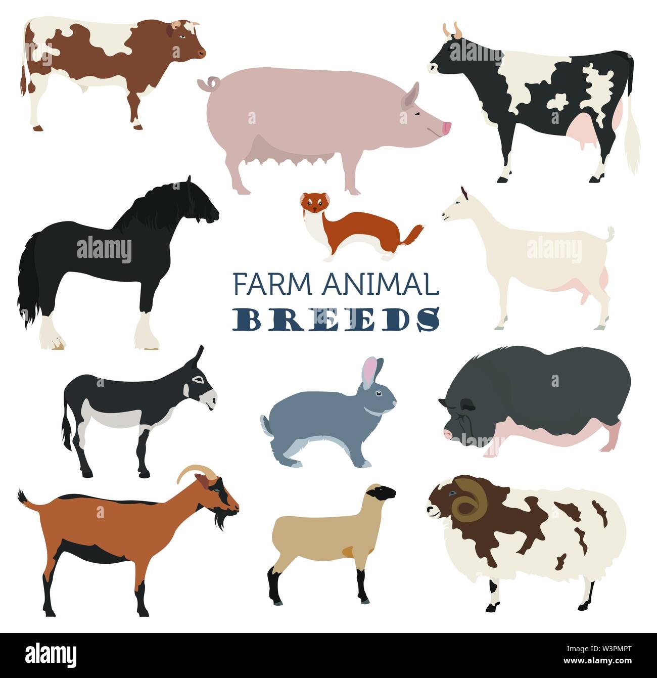 L'agriculture, de l'élevage des animaux. Les bovins, porcins, caprins, bateau, cheval, âne, lapin, fourrure icon set isolé sur blanc. Modèle plat. Vector illustration Illustration de Vecteur