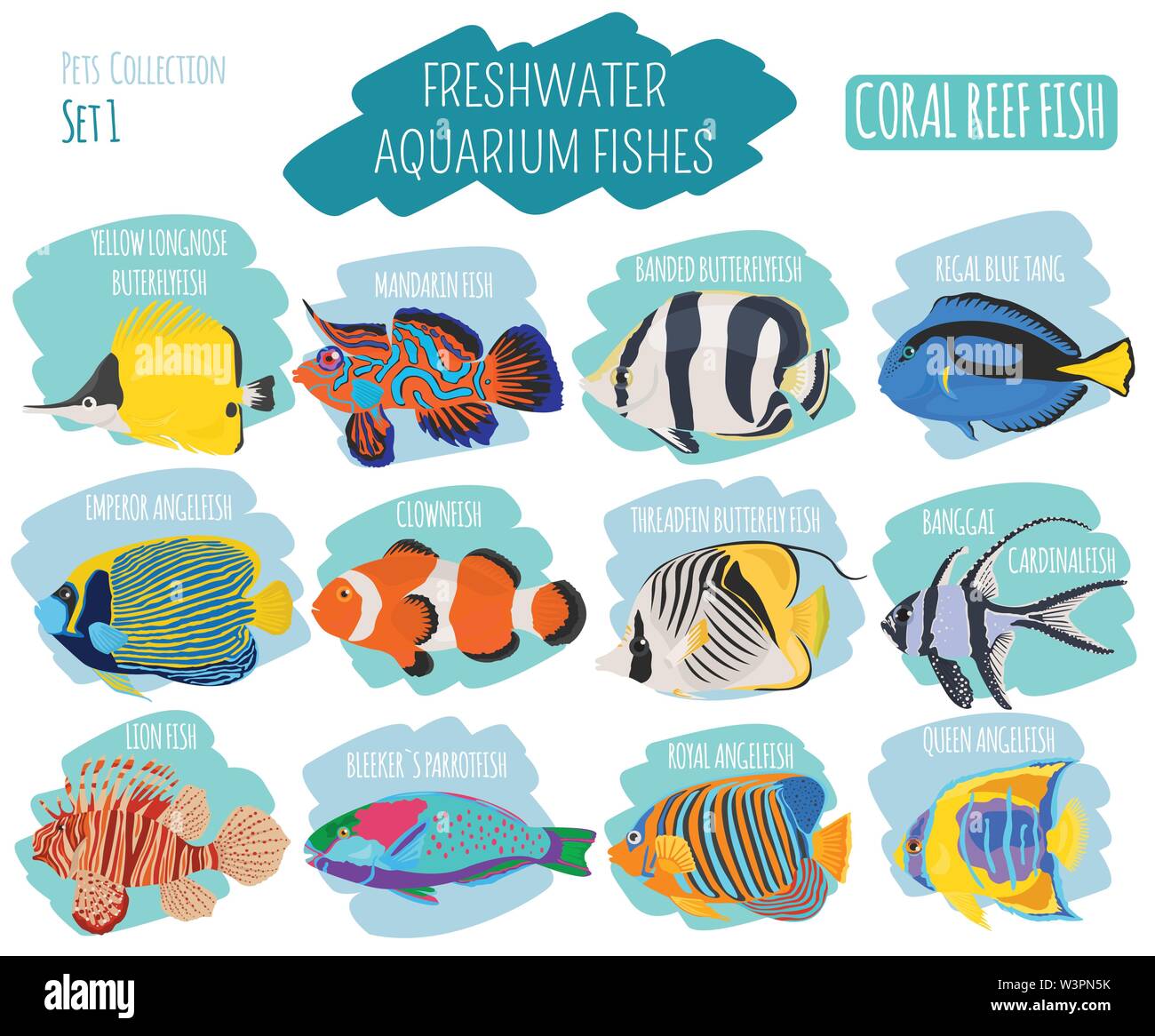 Les poissons d'aquarium d'eau douce se reproduit icon set style plat isolé sur blanc. Récif de corail. Créer propre infographie sur l'animal. Vector illustration Illustration de Vecteur