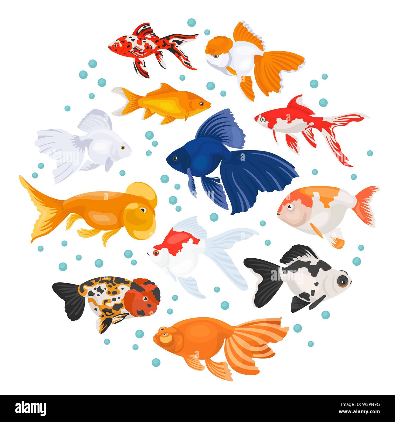 Les poissons d'aquarium d'eau douce se reproduit icon set style plat isolé sur blanc. Poissons rouges. Créer propre infographie sur les animaux de compagnie. Vector illustration Illustration de Vecteur